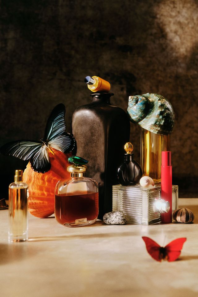 fragrance collection fragrance collection