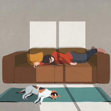 Exhausted woman and dog sleeping on sofa and rug exhausted woman and dog sleeping on sofa and rug