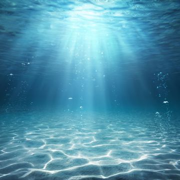 oceani progetto 30x30